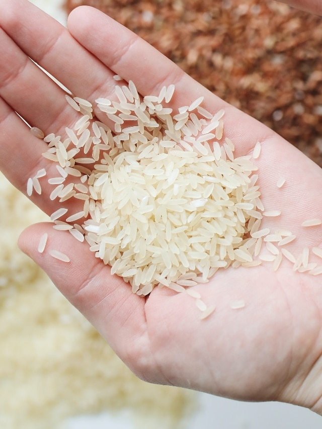 कुछ ही दिनों में आपको मालामाल बना सकते हैं चावल के ये टोटके, आर्थिक तंगी कर सकते हैं दूर  