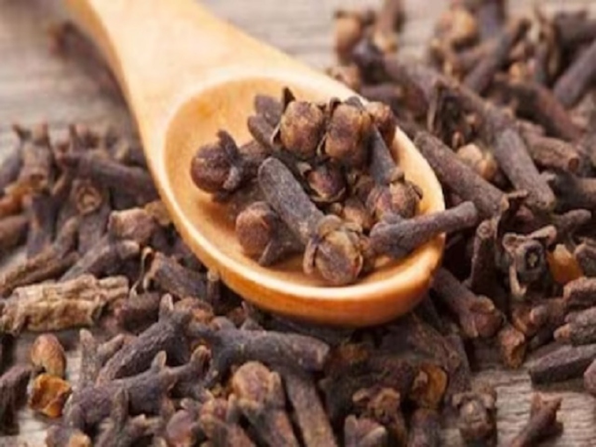 Clove relieves cough and joint pain in a moment know method of remedy