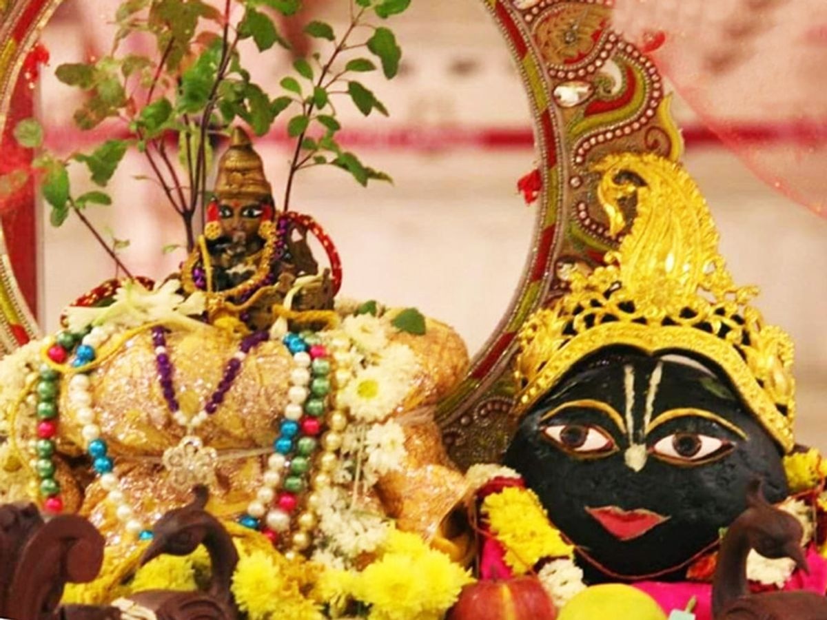 Varithini Ekadashi: वरुथिनी एकादशी पर इस विधि से करें तुलसी पूजा, बरसेगी श्रीहरि-लक्ष्‍मी जी की कृपा