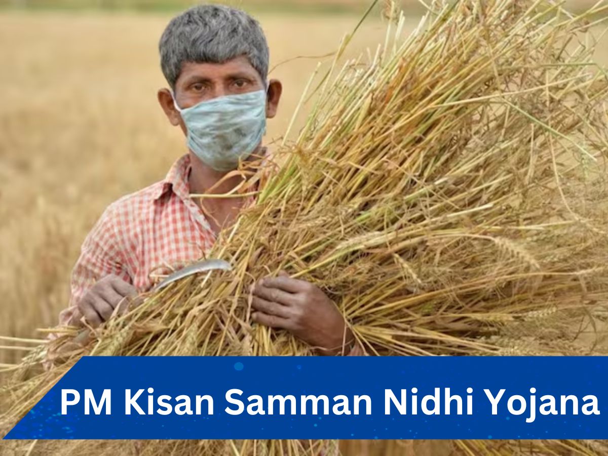 PM Kisan 17th installment: अगर चाहिए किस्त का पैसा तो हो जाएं अलर्ट, ये 5 गलतियां कर देंगी काम खराब