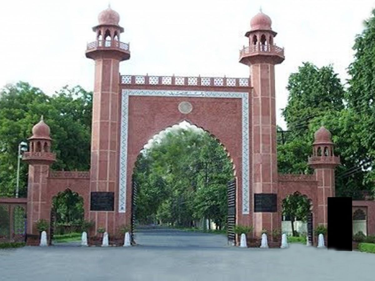 amu class 11 entrance exam