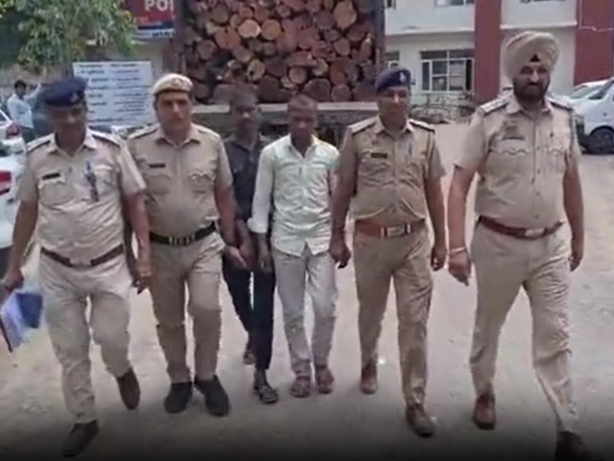 Sonipat Crime: 40 लाख रुपये की खैर की लकड़ी से भरा ट्रक पुलिस ने किया जब्त, 2 लोग गिरफ्तार 