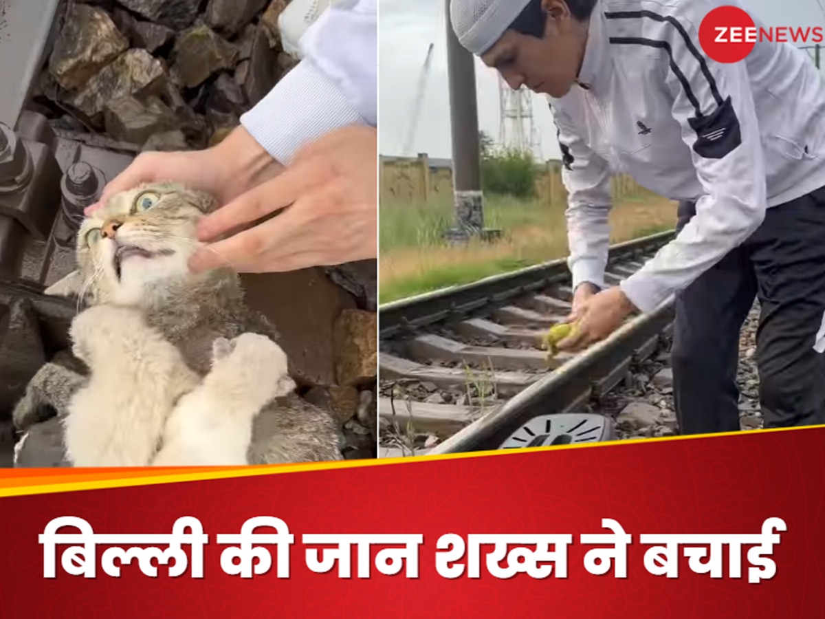 Video: रेलवे पटरी पर बच्चों संग मौत से लड़ रही थी बिल्ली, दूत बनकर आया और यूं बचाई जान