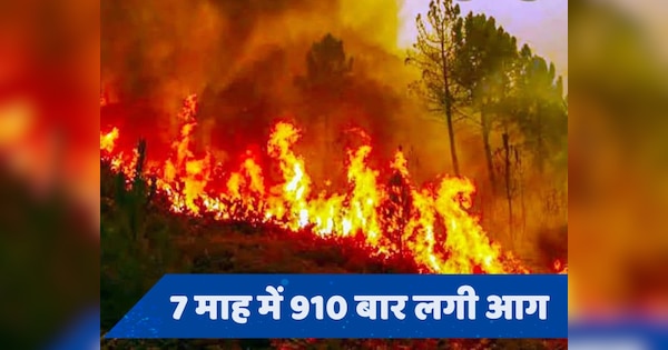 Uttarakhand ठंडा प्रदेश, फिर भी यहां के जंगलों में बार-बार क्यों लग रही आग?