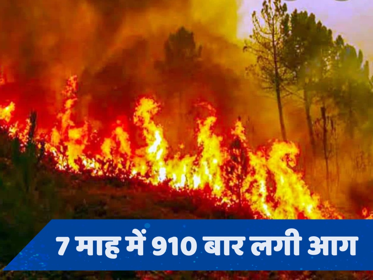 Uttarakhand ठंडा प्रदेश, फिर भी यहां के जंगलों में बार-बार क्यों लग रही आग?