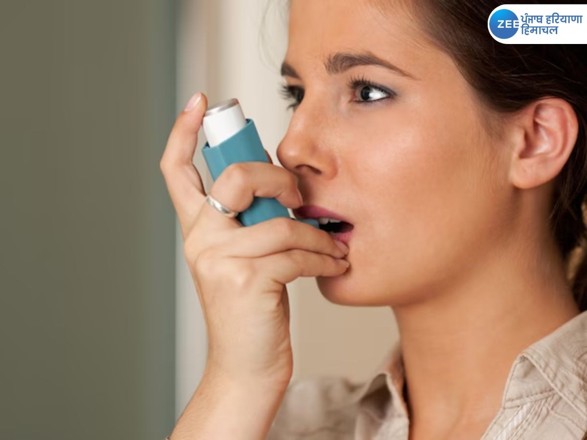 World Asthma Day 2024: ਕੀ ਹੈ ਅਸਥਮਾ? ਪੀੜਤ ਵਿਅਕਤੀ ਨੂੰ ਕੀ ਕਰਨਾ ਚਾਹੀਦਾ ਹੈ ? ਜਾਣੋ ਲੱਛਣ ਤੇ ਕਿਵੇਂ ਬਚਿਆ ਜਾ ਸਕਦਾ ਹੈ