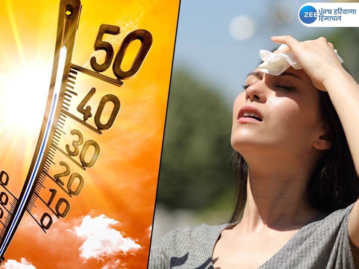 Punjab Heat Wave Alert: ਹੀਟ ਵੇਵ ਦਾ ਅਲਰਟ! ਗਰਮ ਲੂ ਤੋਂ ਬਚਣ ਲਈ ਪੜ੍ਹੋੋ ਖ਼ਬਰ
