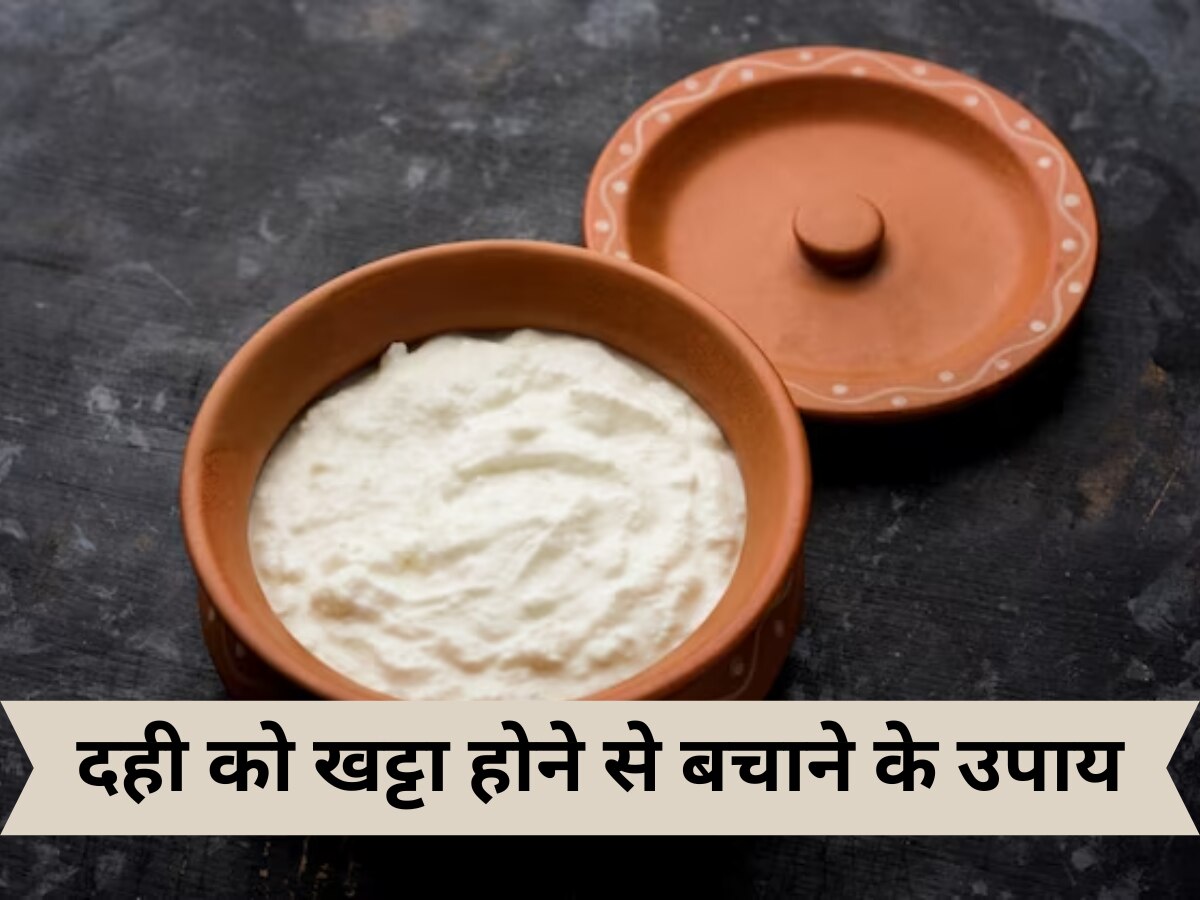 Foods Hacks: गर्मियों में दही को ज्यादा खट्टा होने से बचाने के 4 आसान टिप्स