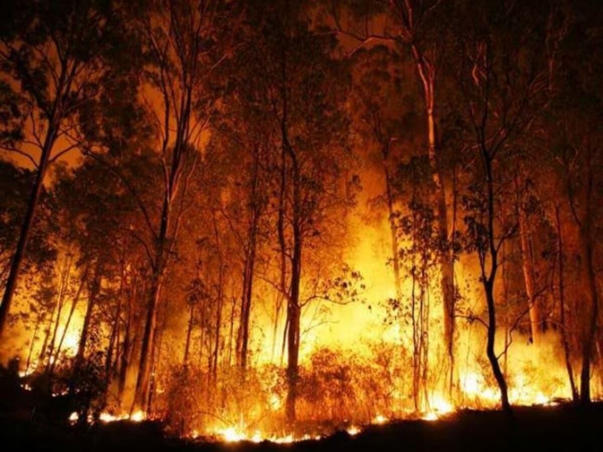 Uttarakhand fire