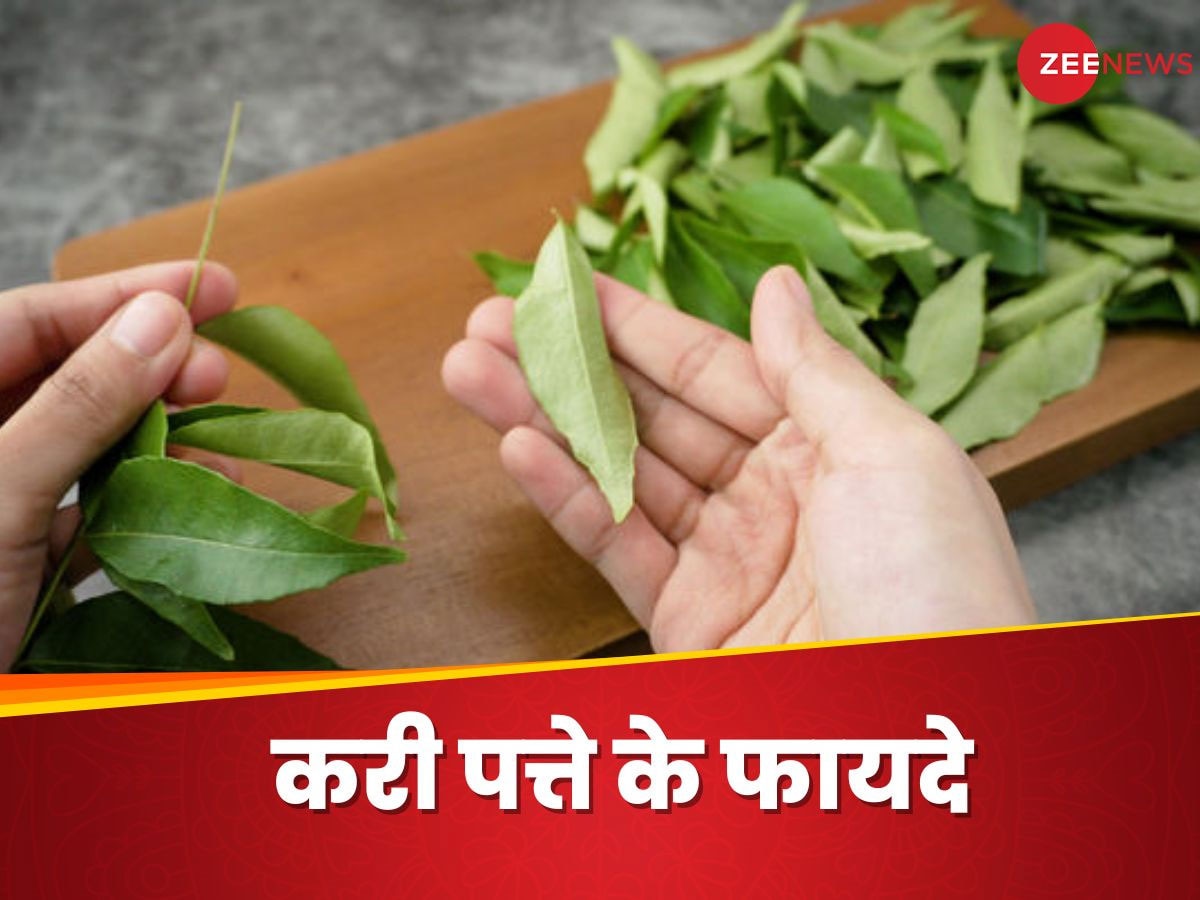 Curry Leaf: सुबह खाली पेट क्यों चबाना चाहिए करी पत्ता? जानिए 4 बड़े कारण