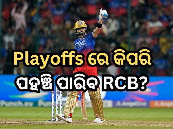 RCB Playoffs Scenario