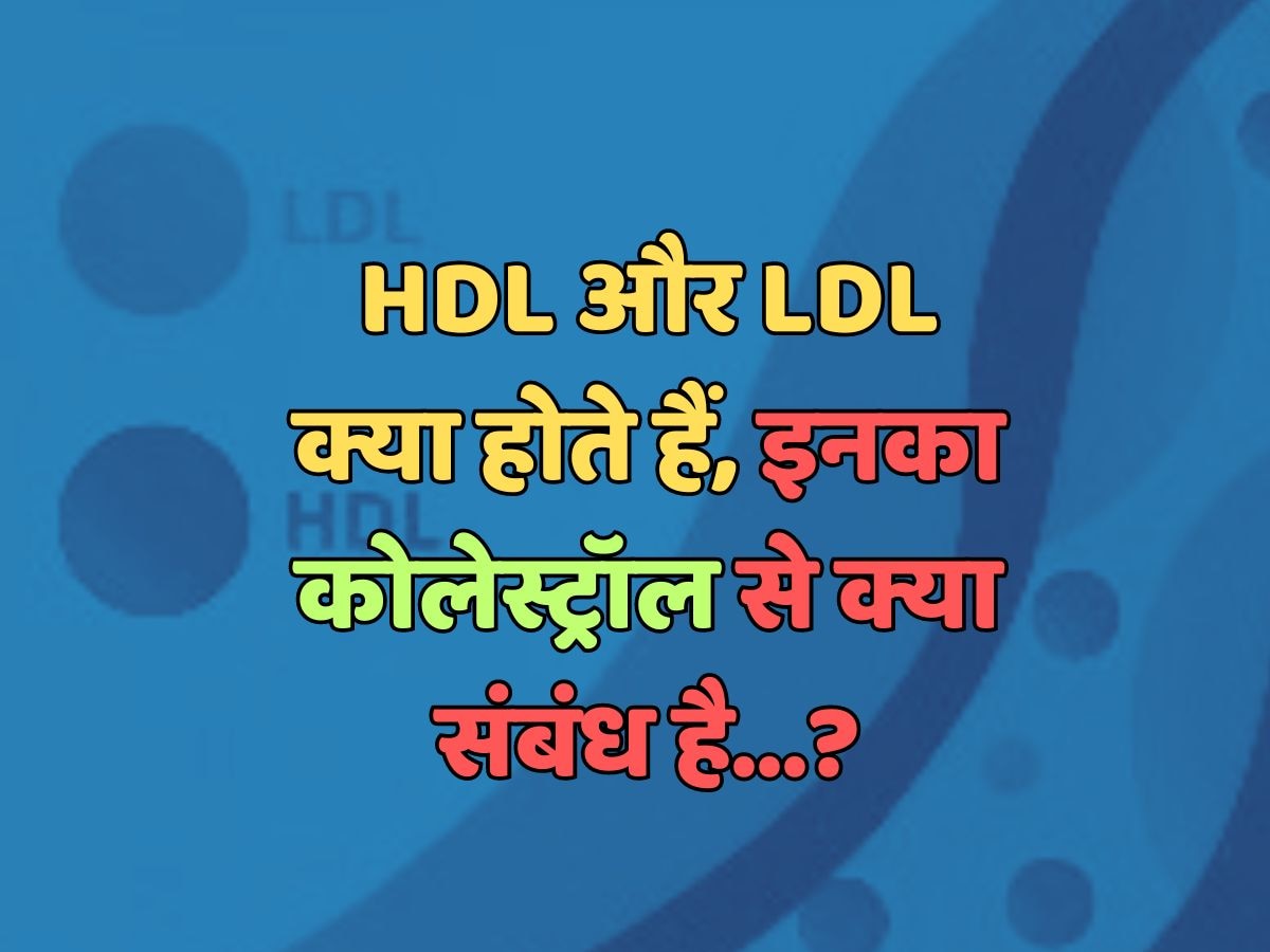 What are HDL and LDL what is their relation with cholesterol