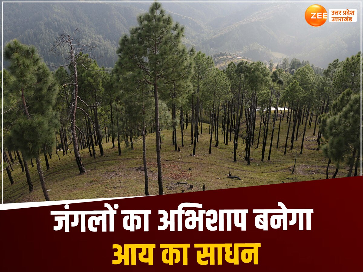 Uttarakhand News