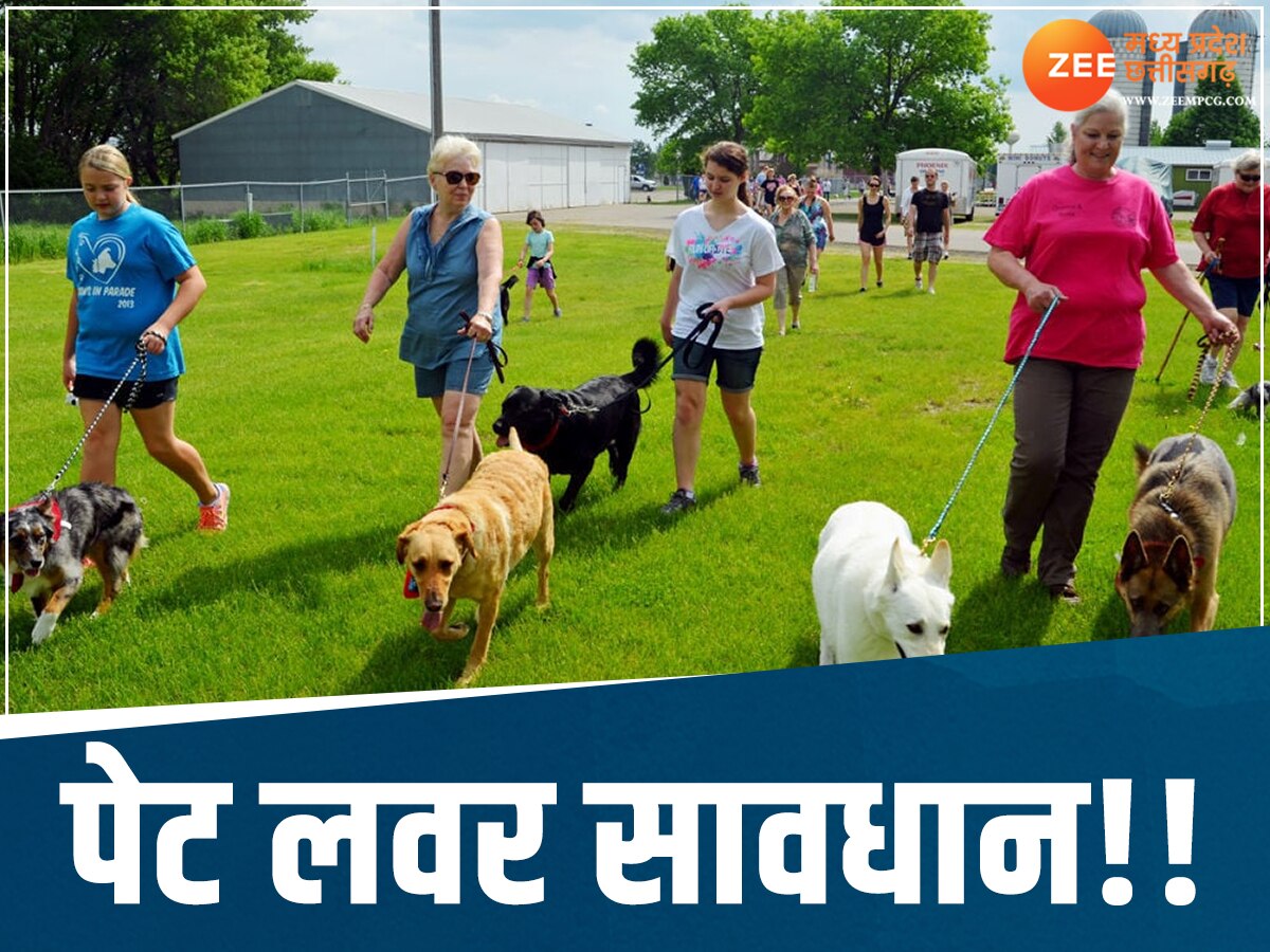 Bhopal Municipal Corporation will take fine For Dog Owners
