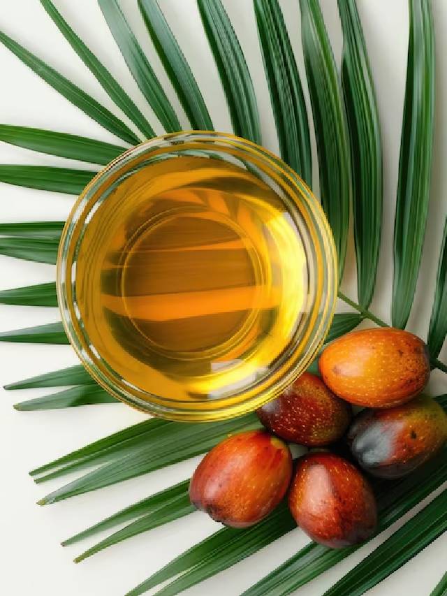 चिप्स और नमकीन समेत इन चीजों में होता है पाम ऑयल का इस्तेमाल,  Palm Oil से बढ़ता है हार्ट अटैक-कैंसर का खतरा 