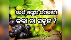 Black Vs Green Grapes: କଳା ଅଙ୍ଗୁର ନା ସବୁଜ ,ଶରୀର ପାଇଁ କେଉଁଟି ଅଧିକ ଲାଭଦାୟକ ଜାଣନ୍ତୁ