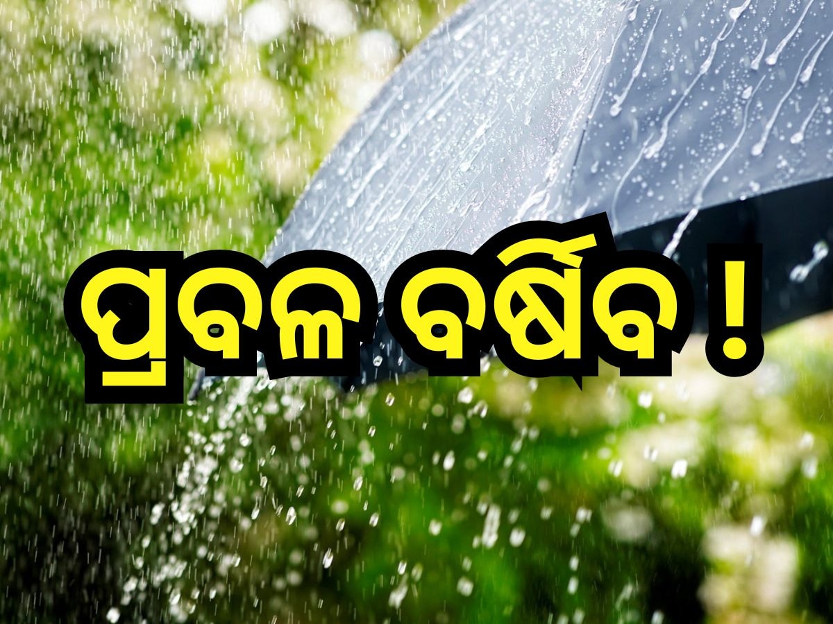 Weather Update: ଆଜି ଏହି ସବୁ ଜିଲ୍ଲାରେ ପ୍ରବଳ ବର୍ଷା ସମ୍ଭାବନା, ସତର୍କ କରାଇଲା ପାଣିପାଗ ବିଭାଗ