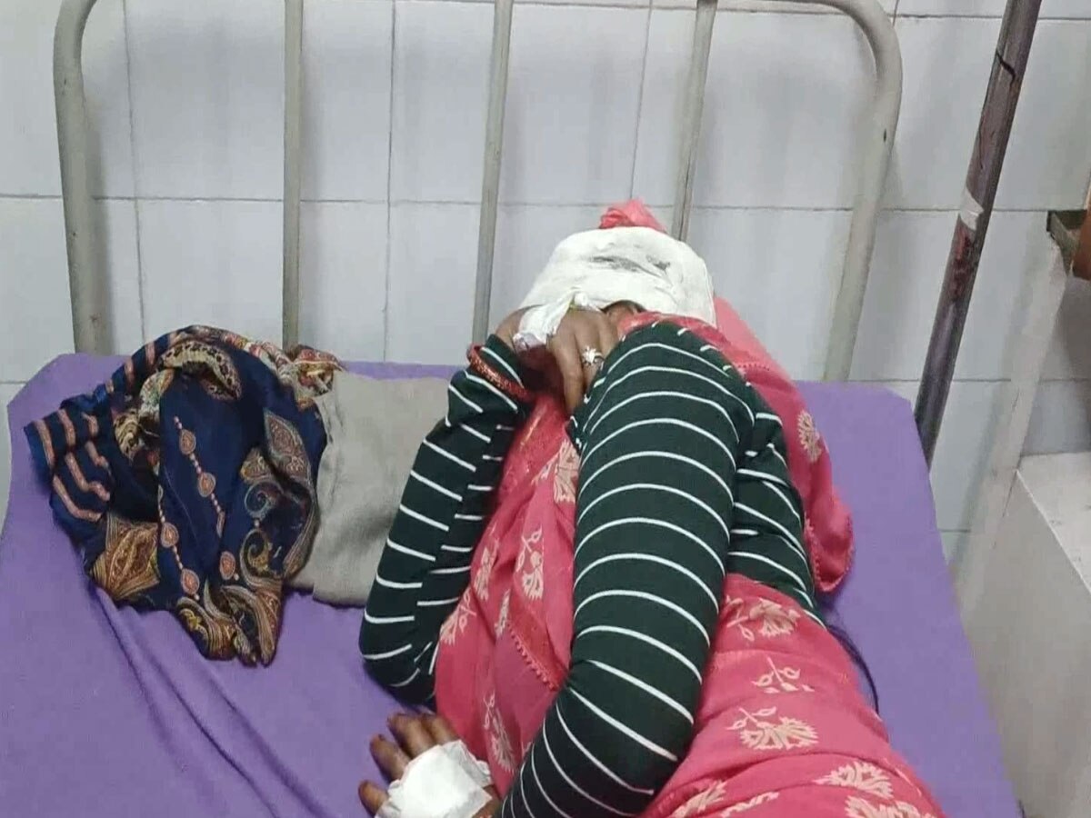 Chittorgarh News: घर के सामने दलित महिला का चारा बेचना युवक को गुजरा नागवार, सरिए से हमला कर महिला का सिर फोड़ा