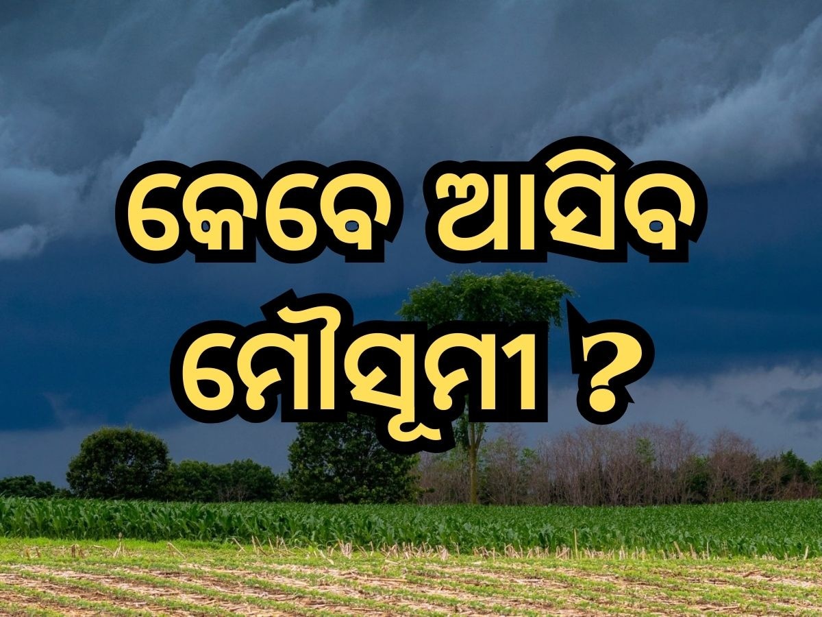 Mansoon: ସଅଳ ଆସିବ ମୌସୂମୀ, ସୂଚନା ଦେଲା IMD