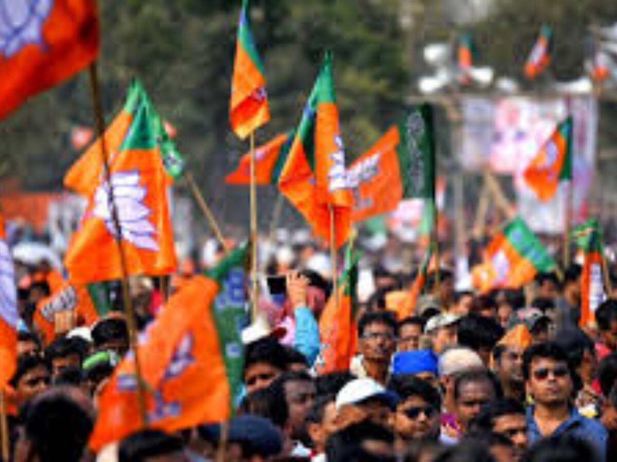 Lok Sabha Election: BJP ने दिल्ली को प्रचार से पाटा, आयोग ने सभी दलों के कुल 2423 विज्ञापनों को दी मंजूरी