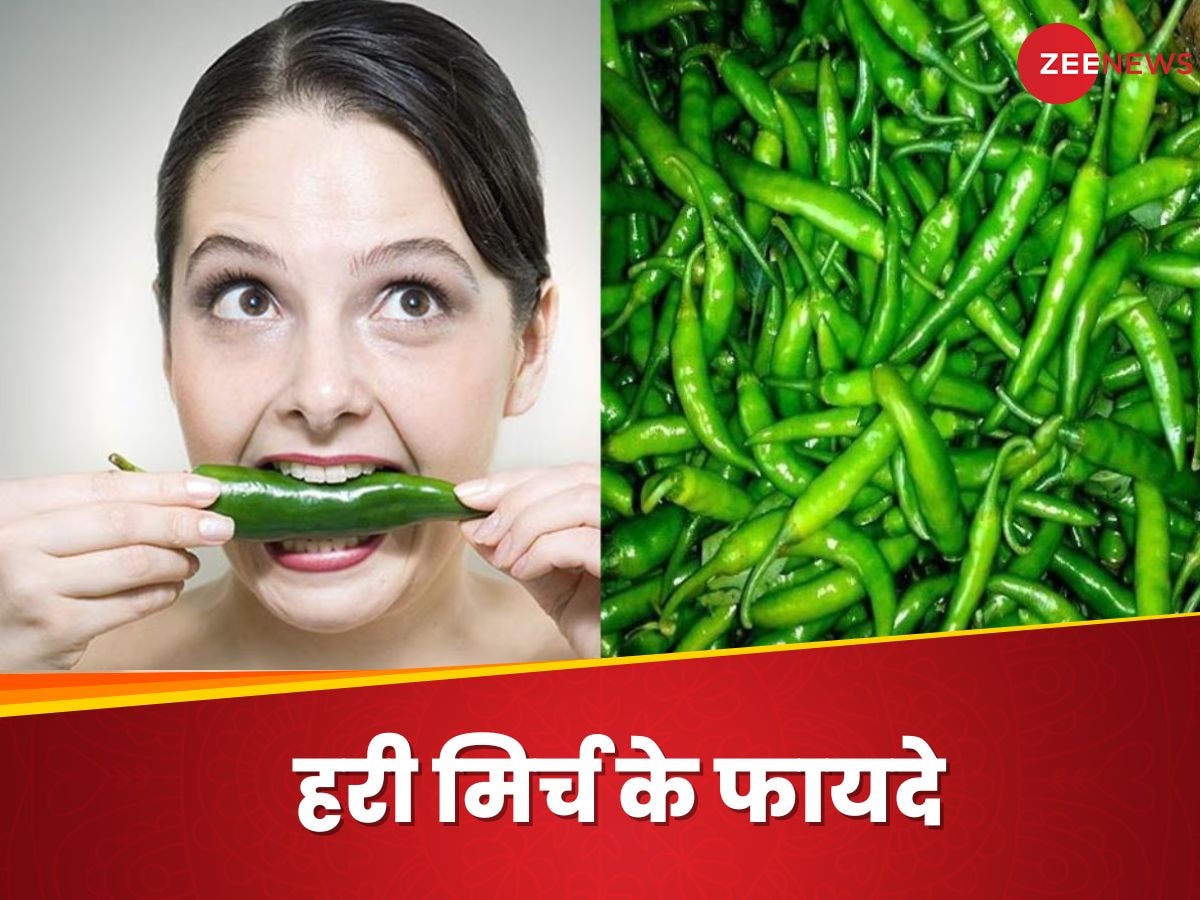 Green Chilli: हरी मिर्च के इतने फायदे जानकर भूल जाएंगे इसका तीखापन, नहीं सिकोड़ेंगे नाक-मुंह