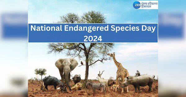 National Endangered Species Day 2024 date theme history and endangered ...