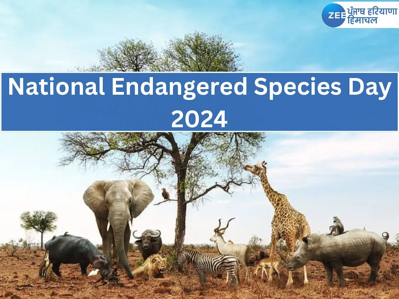 National Endangered Species Day 2024 date theme history and endangered ...