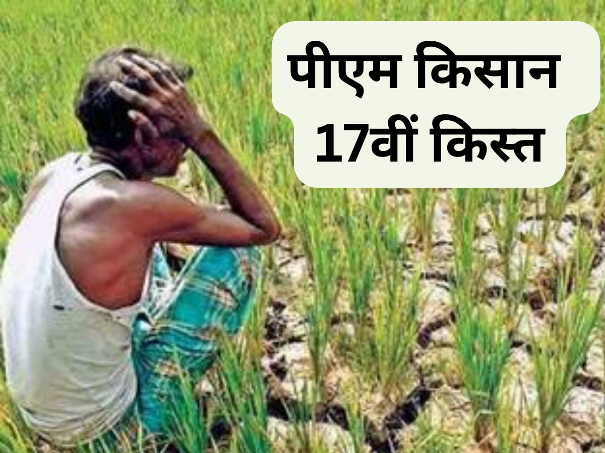 PM Kisan 17th Installment: इन किसानों के खाते में नहीं आएगी फूटी कौड़ी, लिस्ट में कहीं आपका नाम तो नहीं 