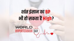 शांत इंसान का BP भी हो सकता है High?world Hypertension Day पर जानिए BP से जुड़े Myth