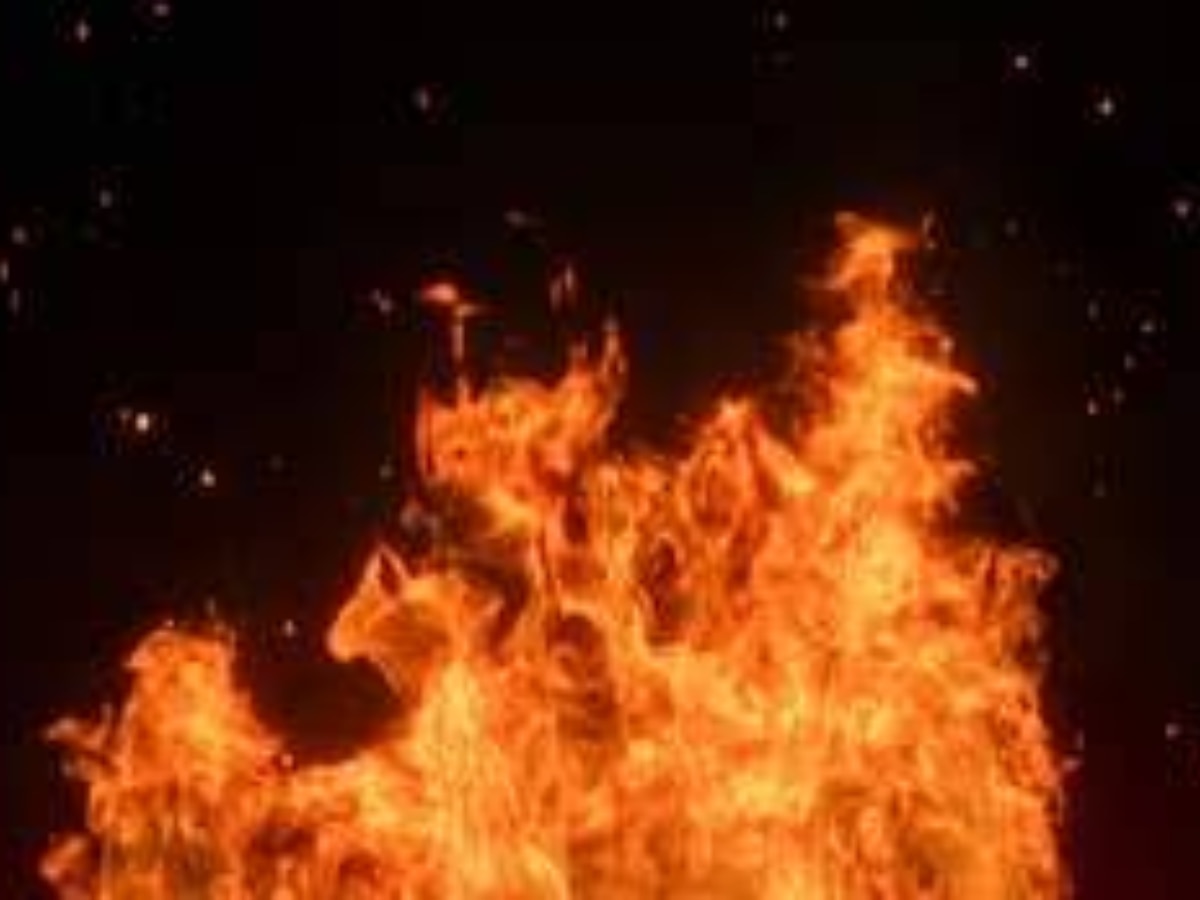 Delhi Fire: नरेला की फैक्ट्री और कीर्ति नगर की फर्नीचर मार्केट में लगी आग, मची अफरा-तफरी