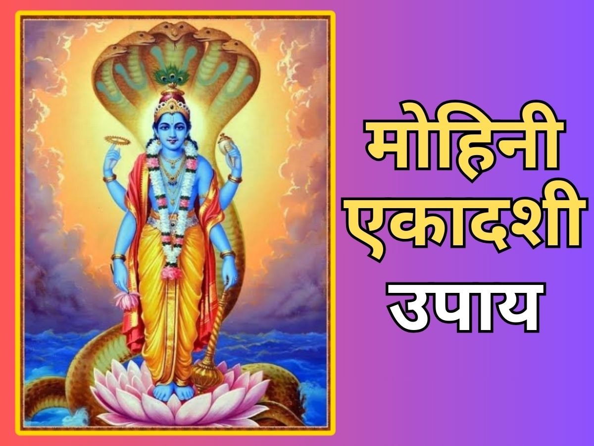 Mohini Ekadashi पर करें ये सरल उपाय, श्री हरि खोलेंगे सफलता के रास्ते, मिलेगा मनचाहा फल