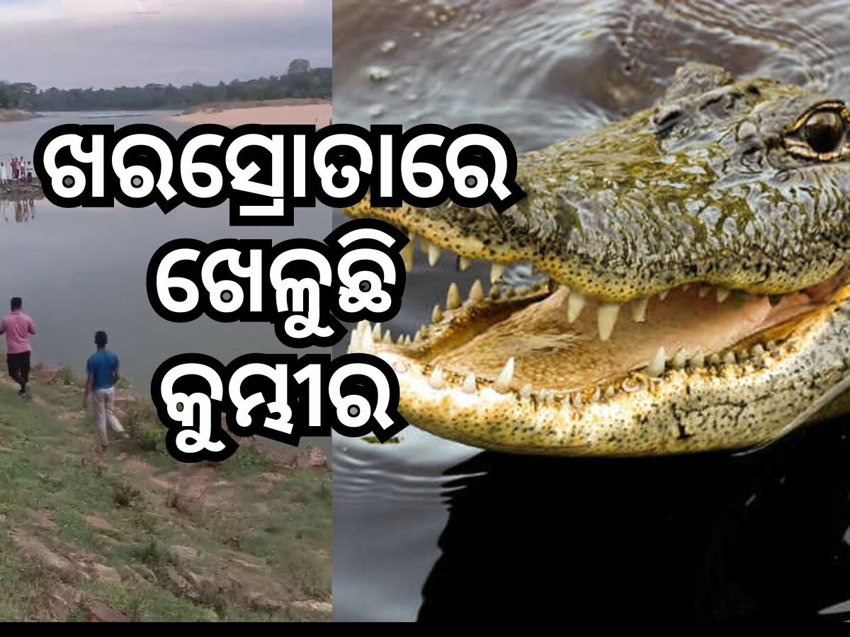 ଖରସ୍ରୋତା ନଦୀରେ ବୁଲୁଛି କୁମ୍ଭୀର, ଲୋକଙ୍କ ମନରେ ଛନକା