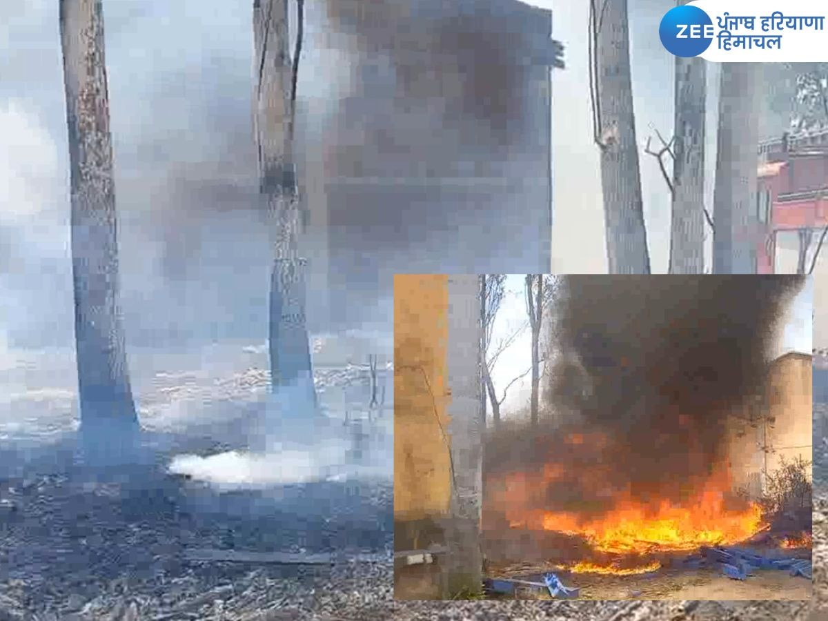 Punjab Fire News: ਕਿਸਾਨ ਵੱਲੋਂ ਖੇਤਾਂ 'ਚ ਲਗਾਈ ਅੱਗ, ਪਨਸਪ ਵਿਭਾਗ ਦੇ ਗੋਦਾਮ ਨੂੰ ਲਿਆ ਆਪਣੀ ਲਪੇਟ 'ਚ