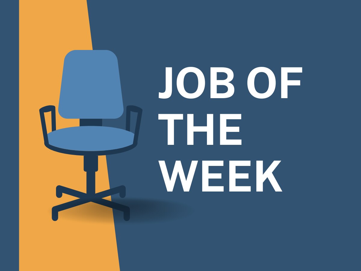 Job of the Week: इंडियन आर्मी से लेकर एयर फोर्स तक, सरकारी नौकरियों की भरमार, तुरंत करें आवेदन