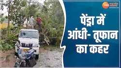 chhattisgarh में बदला मौसम का मिजाज, तेज आंधी से पेड़ हुए धराशायी, देखें Video