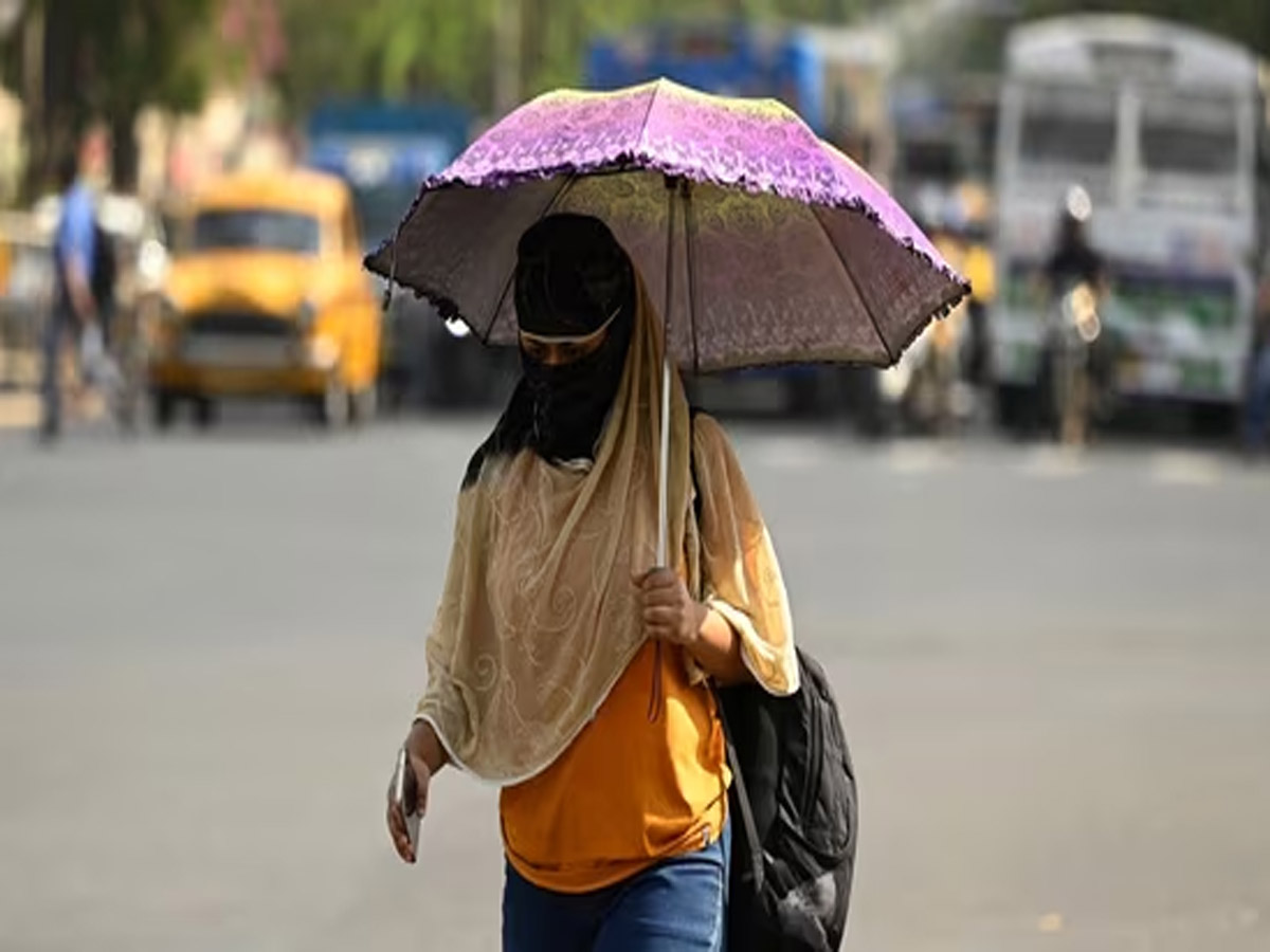 IMD Weather Report: मौसम विभाग ने जारी किया रेड अलर्ट, इन राज्यों में गर्मी बरपा सकती है कहर IMD Weather Report: मौसम विभाग ने जारी किया रेड अलर्ट, इन राज्यों में गर्मी बरपा सकती है कहर