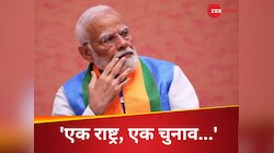 क्या होगा सरकार बनने के बाद 100 दिनों का एक्शन प्लान? PM मोदी बोले........