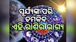 Rashifal 21 May 2024: ୨୧ ମଇରେ ସୂର୍ଯ୍ୟଙ୍କ ପରି ଚମକିବ ଏହି ରାଶିର ଭାଗ୍ୟ, ଜାଣନ୍ତୁ ଭାଗ୍ୟଫଳ