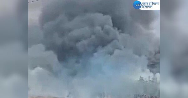 Massive fire broke out in the forest of Mand Chaunta, death of animals ...