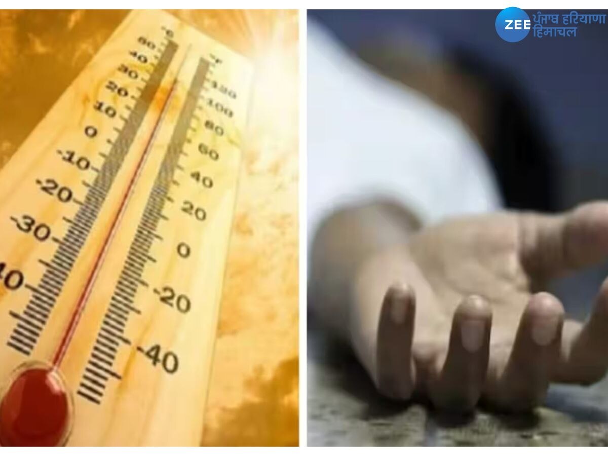 Heat Wave: ਅਬੋਹਰ 'ਚ ਗਰਮੀ ਕਾਰਨ ਬਜ਼ੁਰਗ ਦੀ ਮੌਤ; ਹਸਪਤਾਲ 'ਚ ਸੀ ਜ਼ੇਰੇ ਇਲਾਜ