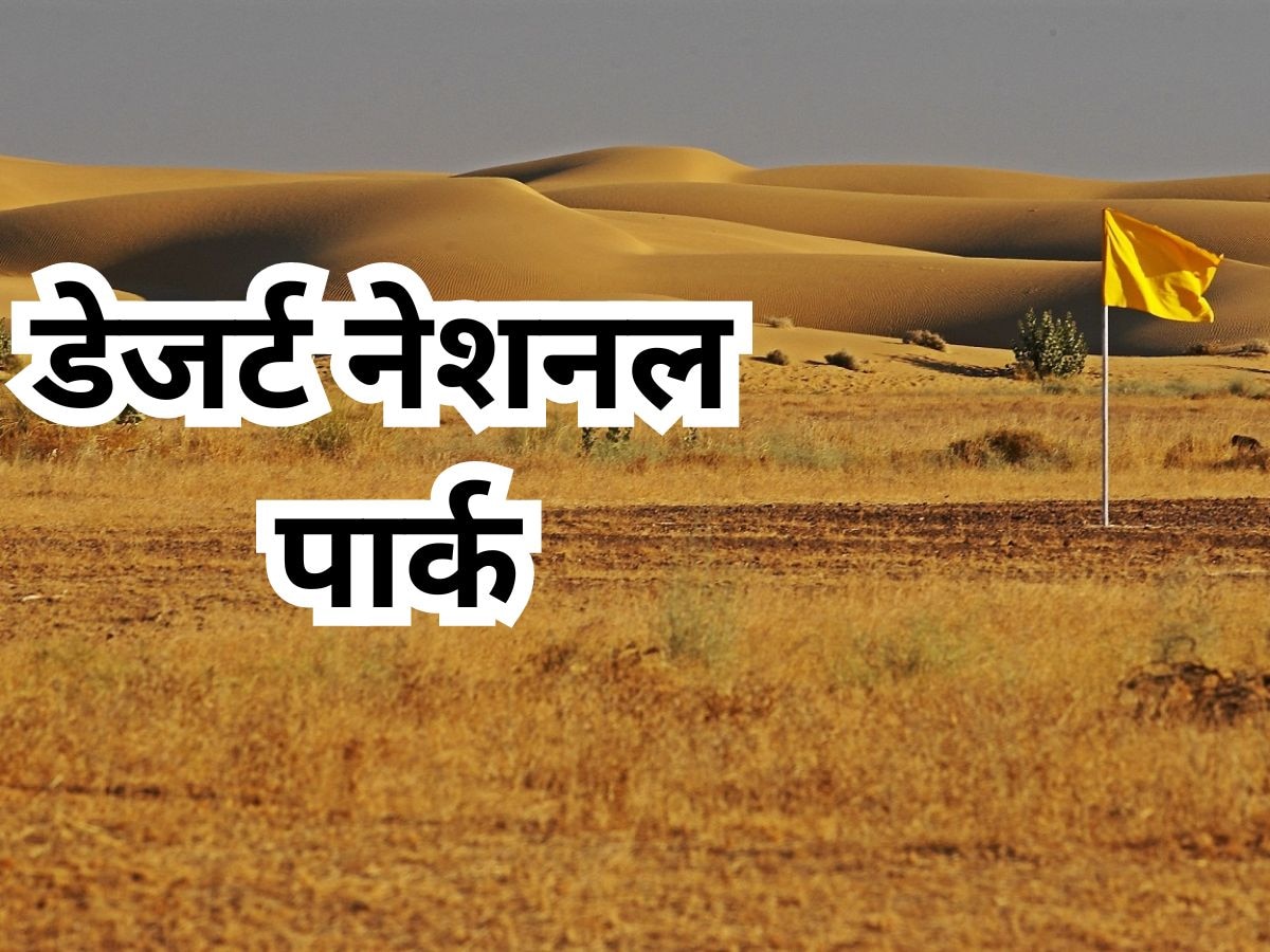 jaisalmer news 