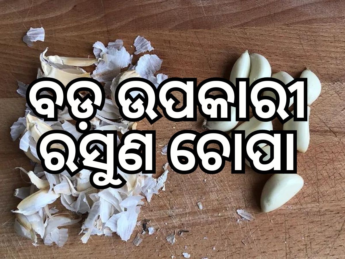 Garlic Peel Benefits: ଫିଙ୍ଗୁଛନ୍ତି କି ରସୁଣ ଚୋପା ? ମିଳିଥାଏ ବଡ଼ ଲାଭ