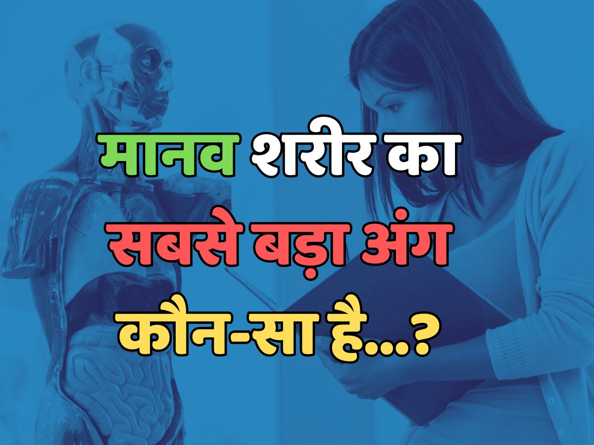 Trending Quiz : मानव शरीर का सबसे बड़ा अंग कौन सा है?