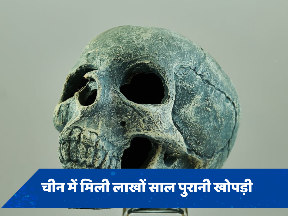 चीन में मिली 10 लाख साल पुरानी खोपड़ी, वैज्ञानिकों ने कहा हो सकता है 'ड्रैगन मैन'