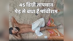 45 डिग्री तापमान! गर्मी, सर्दी हो या बारिश 15 साल से पेड़ से बंधा है पांचीराम  
