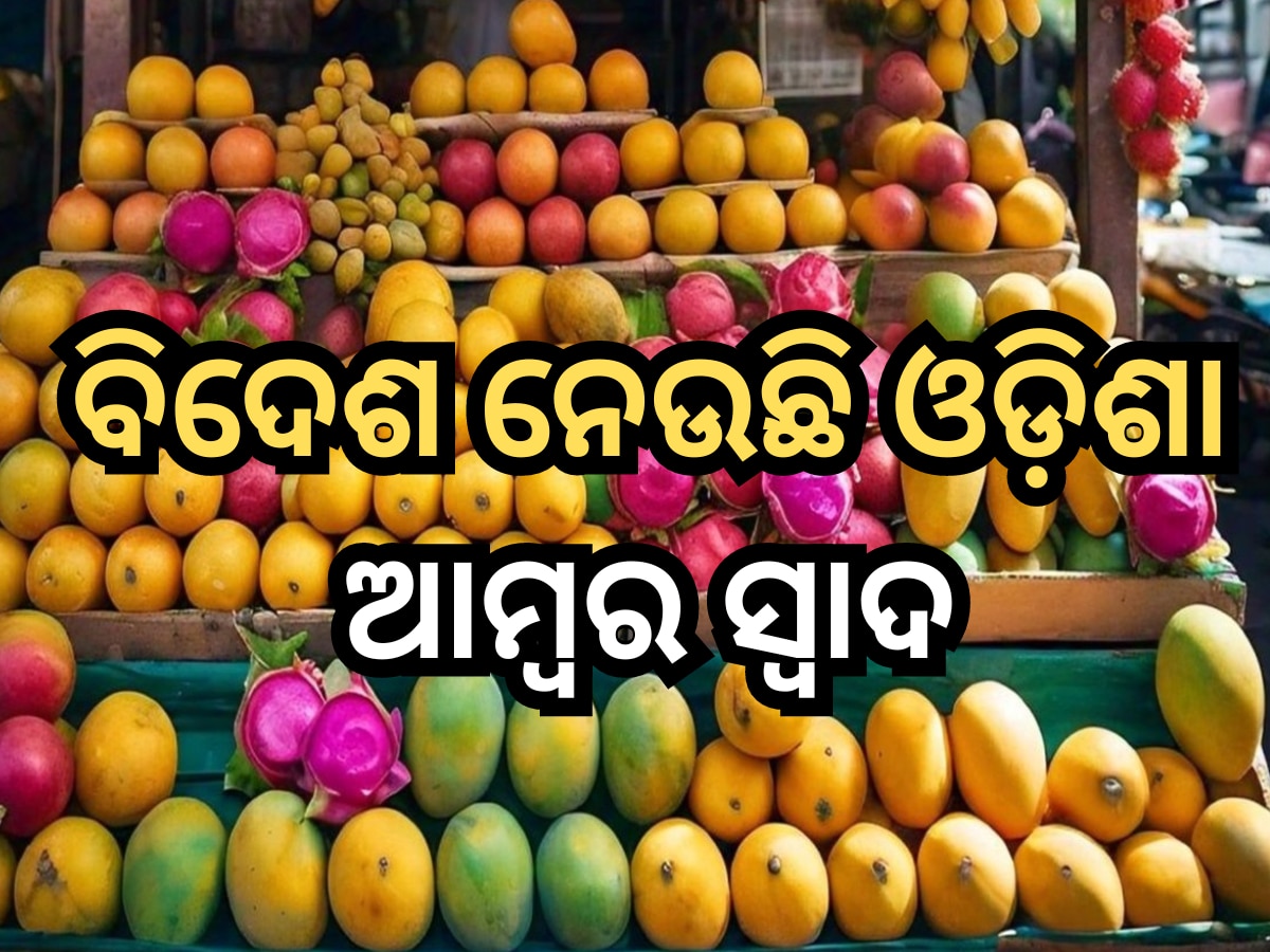 Odisha Mango News