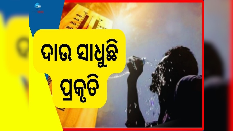 Weather News: ୫୩ ଡିଗ୍ରୀ ପହଞ୍ଚିଲା ଏହି ସ୍ଥାନର ତାପମାତ୍ରା, ହିଟୱେଭ କାରଣରୁ ୮ ମୃତ 