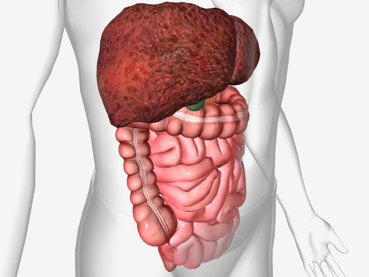 Fatty Liver: खाने से कंट्रोल करें फैटी लिवर रोग, ये 5 स्वादिष्ट चीजें करेंगी कमाल