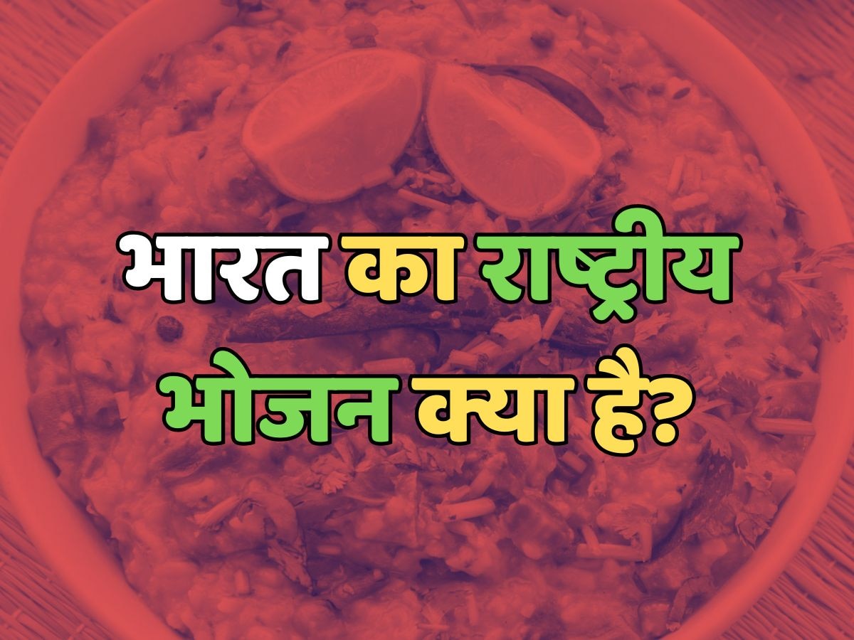 What is the national food of India