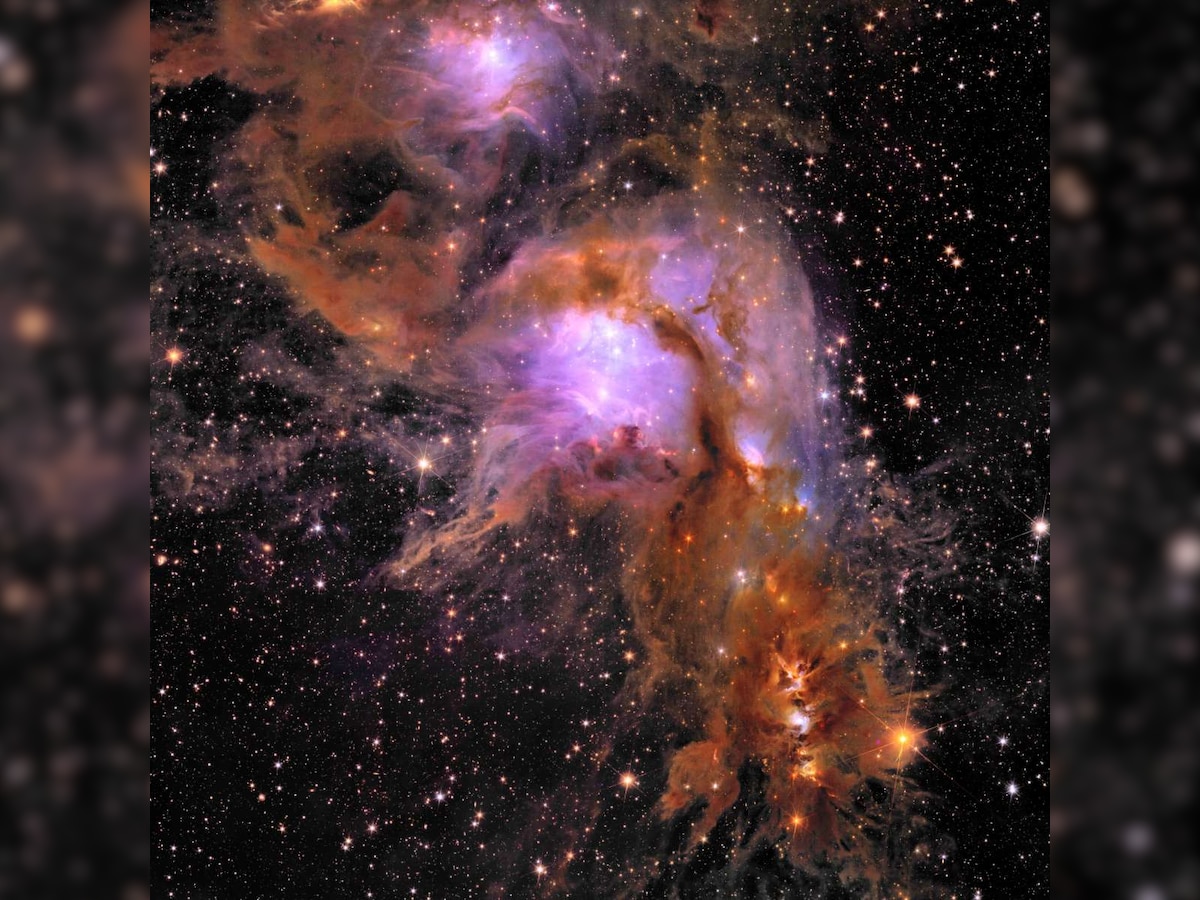 Euclid Telescope Images: तारों की नर्सरी Messier 78